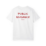 PUBLIC NUISANCE