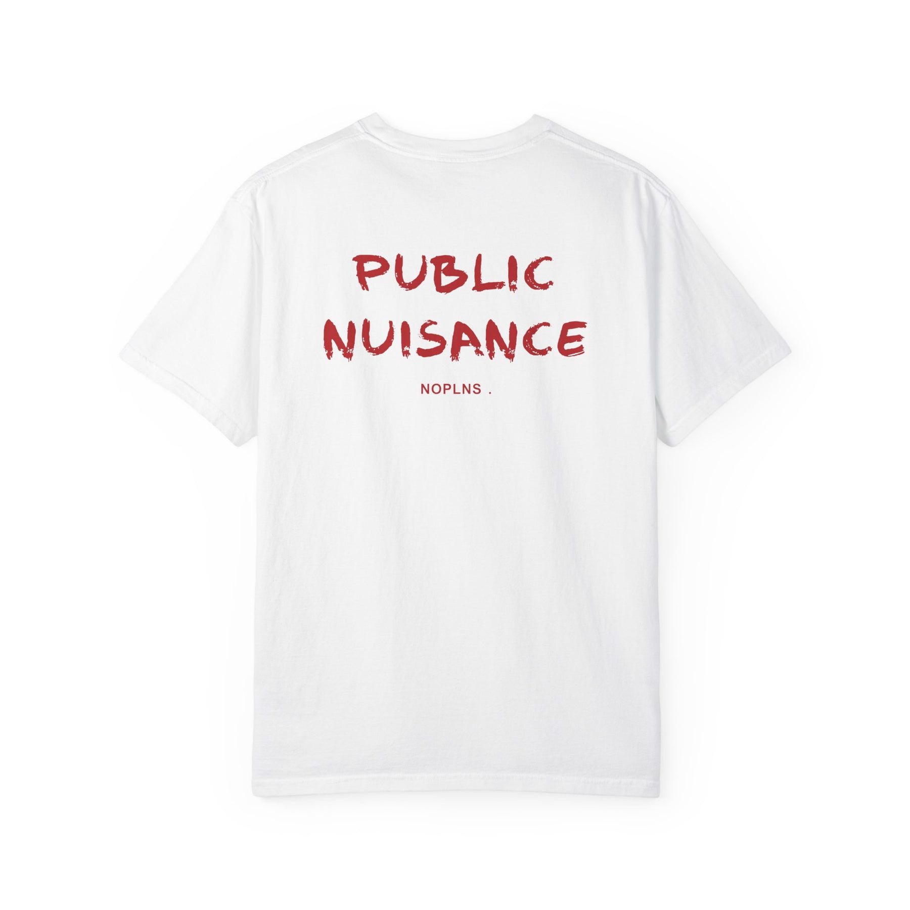 PUBLIC NUISANCE