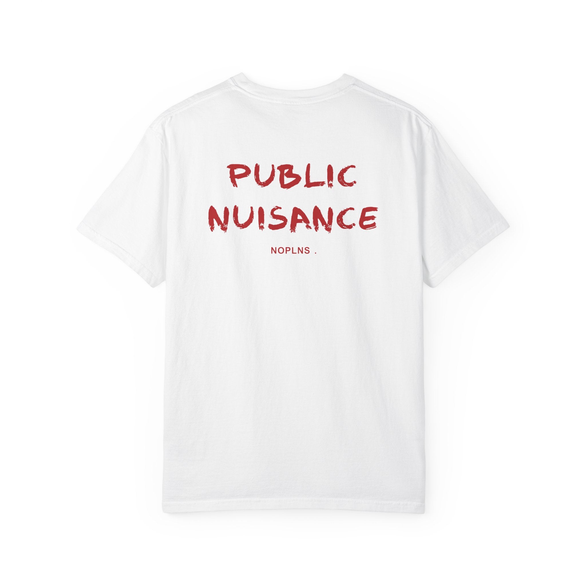 PUBLIC NUISANCE