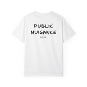 PUBLIC NUISANCE