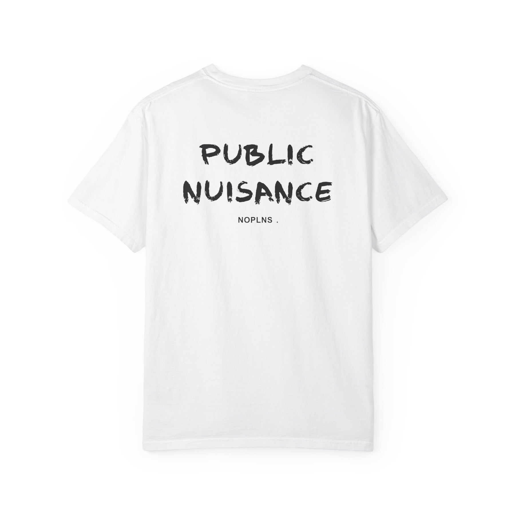 PUBLIC NUISANCE
