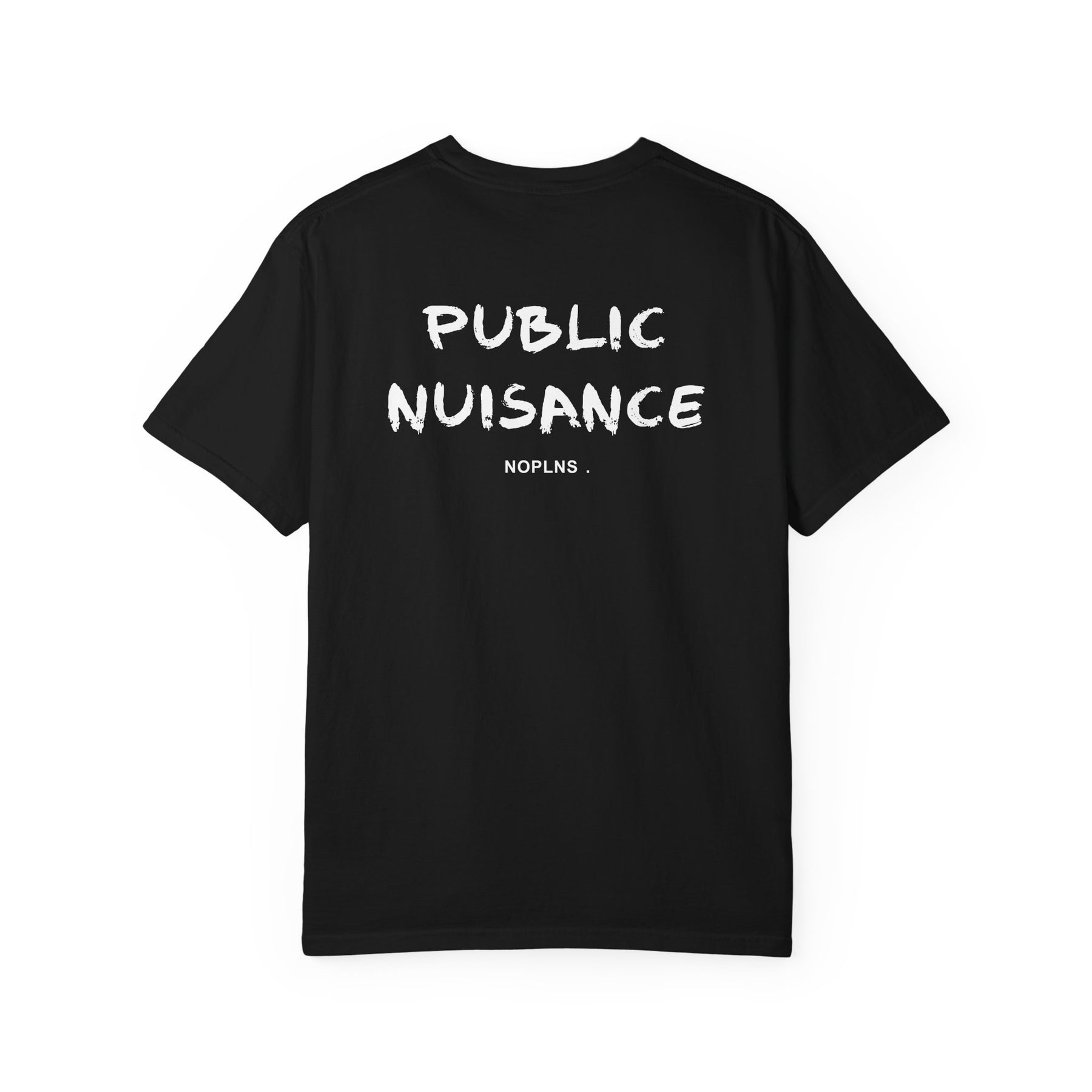 PUBLIC NUISANCE