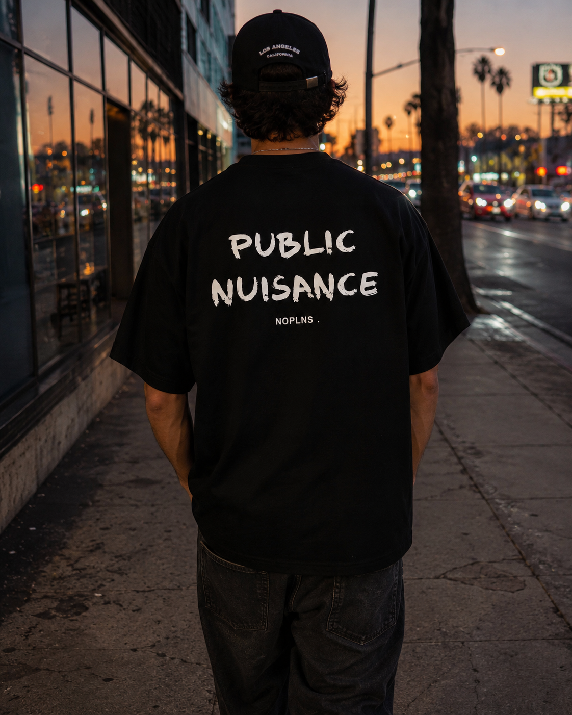 PUBLIC NUISANCE