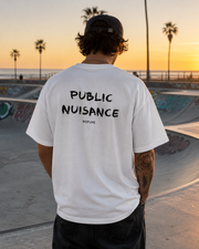 PUBLIC NUISANCE