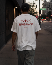 PUBLIC NUISANCE